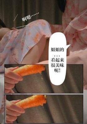 珠江人家电视剧免费观看